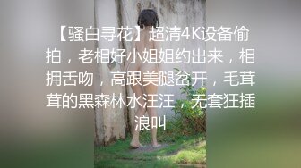 【骚白寻花】超清4K设备偷拍，老相好小姐姐约出来，相拥舌吻，高跟美腿岔开，毛茸茸的黑森林水汪汪，无套狂插浪叫