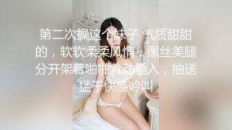 第二次操这个妹子 气质甜甜的，软软柔柔风情，黑丝美腿分开架着啪啪耸动插入，抽送猛干快感吟叫