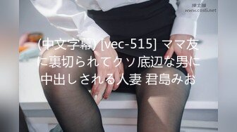 (中文字幕) [vec-515] ママ友に裏切られてクソ底辺な男に中出しされる人妻 君島みお