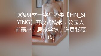 顶级身材一字马骚妻【HN_SIYING】开放式婚姻，公园人前露出，居家丝袜，道具紫薇 (5)