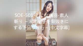 SOE-501-とこな由羽-素人斬り ～未熟男子を骨抜きにする下品な淫行～[中文字幕]