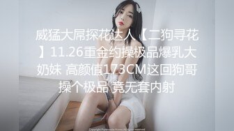 威猛大屌探花达人【二狗寻花】11.26重金约操极品爆乳大奶妹 高颜值173CM这回狗哥操个极品 竟无套内射