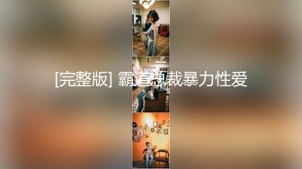 [完整版] 霸道总裁暴力性爱