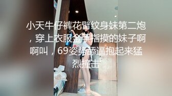 小天牛仔裤花臂纹身妹第二炮，穿上衣服金手指摸的妹子啊啊叫，69姿势舔逼抱起来猛烈撞击